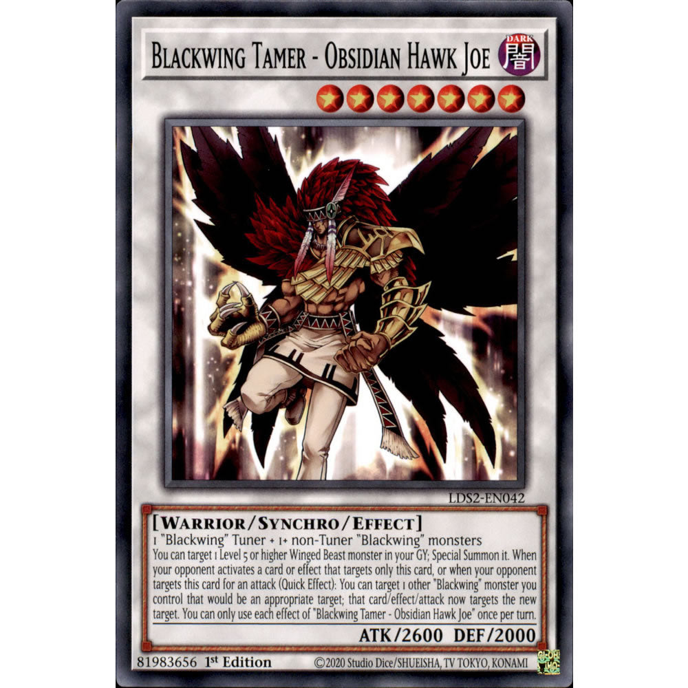 Blackwing Tamer - Obsidian Hawk Joe LDS2-EN042 Yu-Gi-Oh! Card from the Legendary Duelists: Season 2 Set