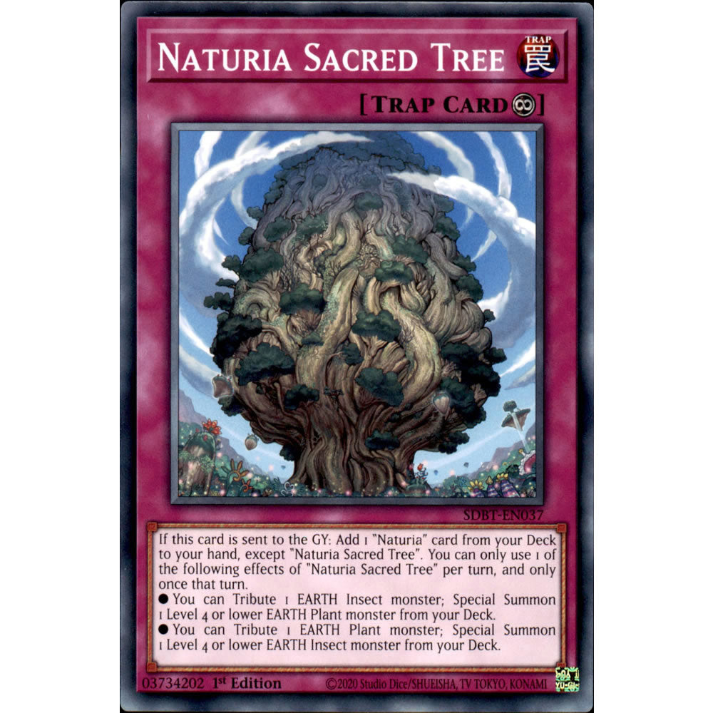 Naturia Sacred Tree SDBT-EN037 Yu-Gi-Oh! Card from the Beware of Traptrix Set